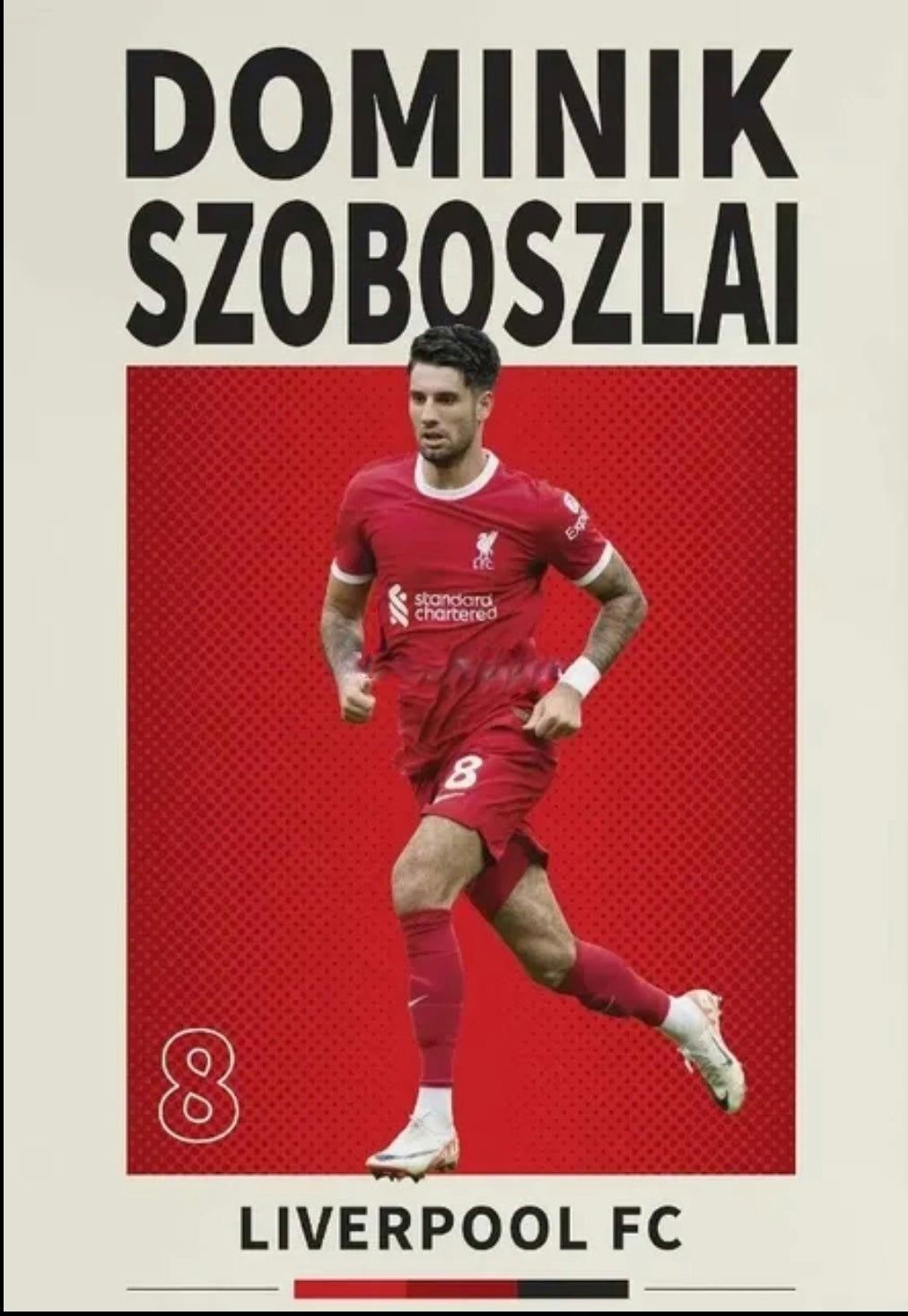 Dominik Szoboszlai Canvas Poster 45X30cm