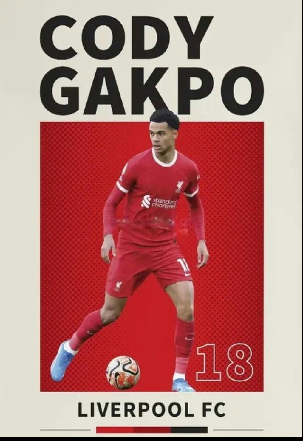 Gakpo Liverpool  Canvas Poster  45X30 cm