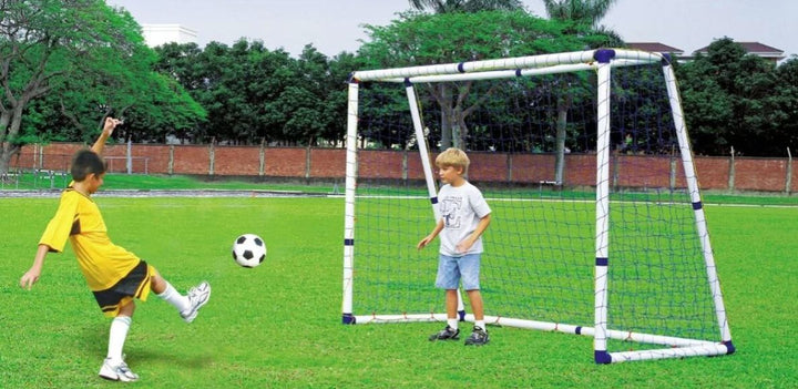 Pro Sports Goal 8ft x 6ft