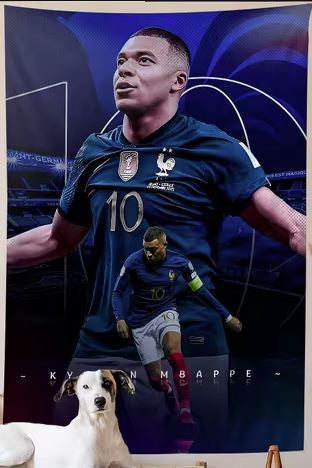 Kylian Mbappe France Fabric Poster 60cm x 90cm