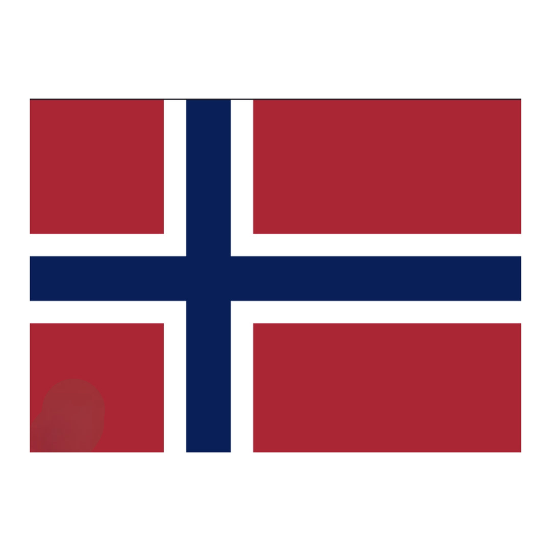 Norway Flag LARGE