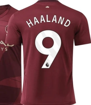 Haaland Manchester City 24/25 Third kit